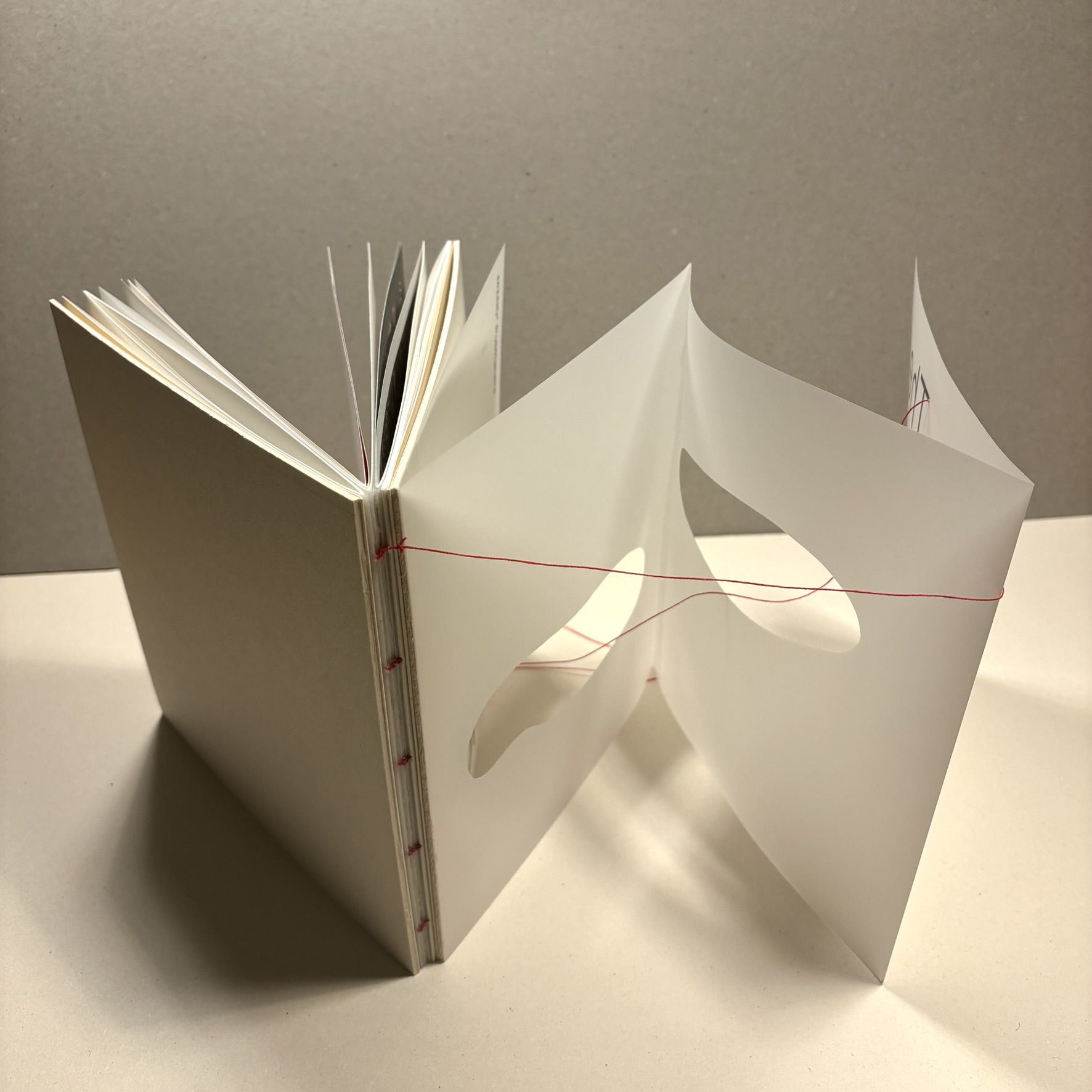 the twice-burned library