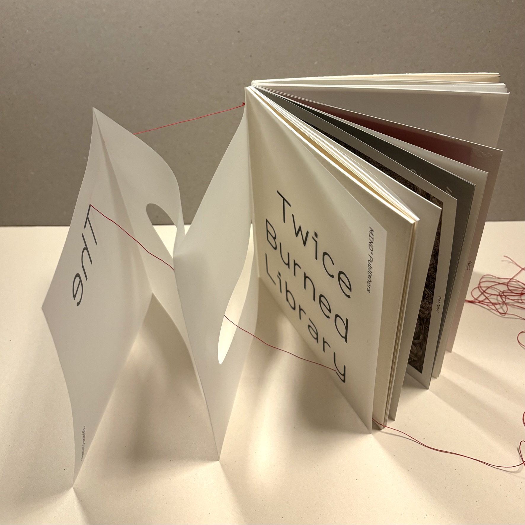 the twice-burned library